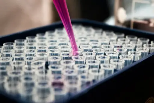 PCR in tempo reale