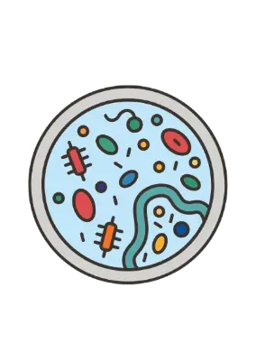 BioConferences